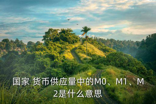 國(guó)家 貨幣供應(yīng)量中的M0、M1、M2是什么意思