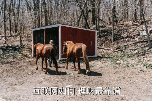 互聯網投資理財分享,智慧樹互聯網投資理財答案