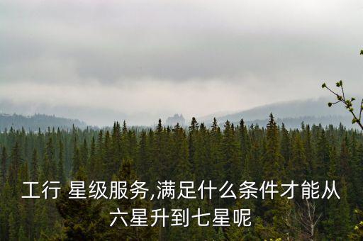 工商銀行星級(jí)評定標(biāo)準(zhǔn)
