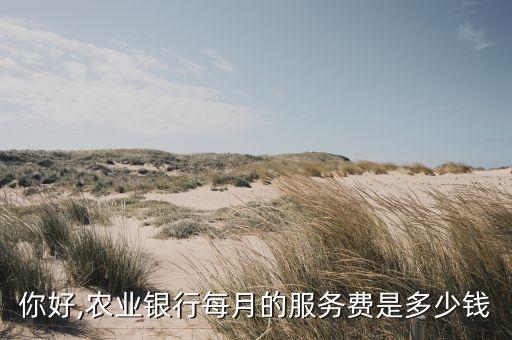 你好,農業(yè)銀行每月的服務費是多少錢
