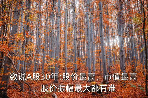 數(shù)說A股30年:股價(jià)最高、市值最高、股價(jià)振幅最大都有誰