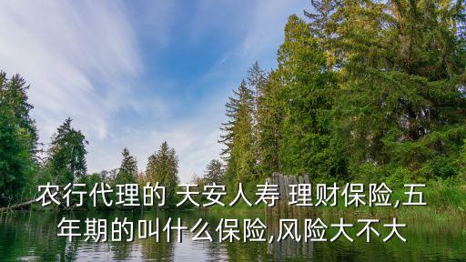 農(nóng)行代理的 天安人壽 理財(cái)保險,五年期的叫什么保險,風(fēng)險大不大