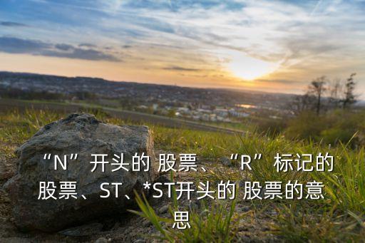“N”開頭的 股票、“R”標(biāo)記的 股票、ST、*ST開頭的 股票的意思