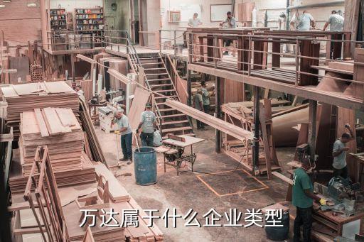 萬(wàn)達(dá)屬于什么企業(yè)類(lèi)型
