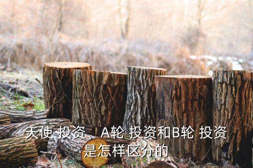 天使 投資、A輪 投資和B輪 投資是怎樣區(qū)分的