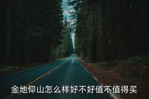 金地仰山怎么樣好不好值不值得買(mǎi)