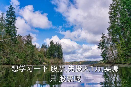 想學習一下 股票,先投入1萬,買哪只 股票呢