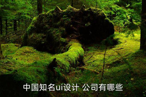 中國知名ui設(shè)計 公司有哪些