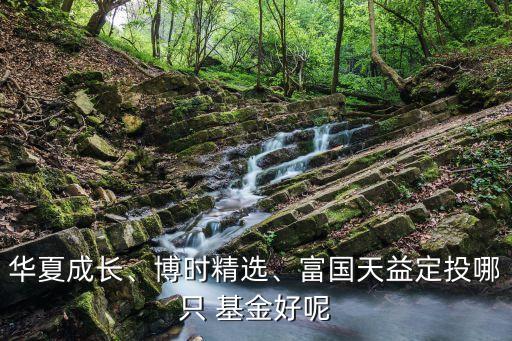 華夏成長(zhǎng)、博時(shí)精選、富國(guó)天益定投哪只 基金好呢