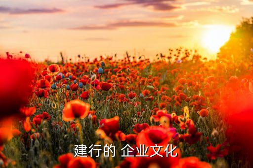 建設銀行企業(yè)