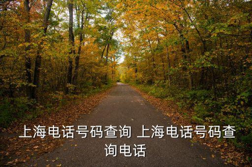  上海電話號(hào)碼查詢(xún) 上海電話號(hào)碼查詢(xún)電話