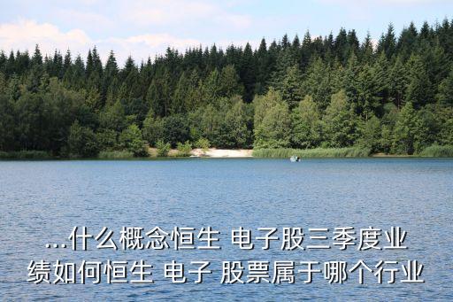 ...什么概念恒生 電子股三季度業(yè)績如何恒生 電子 股票屬于哪個行業(yè)