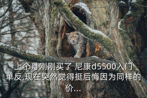 上個月剛剛買了 尼康d5500入門單反,現在突然覺得挺后悔因為同樣的價...