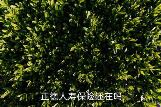 中國農(nóng)業(yè)銀行正德保險(xiǎn)