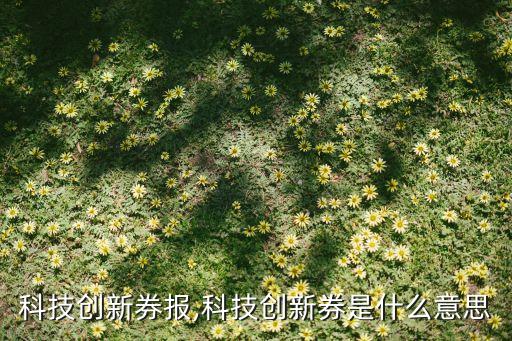 上?？萍紕?chuàng)新券報(bào),科技創(chuàng)新券是什么意思