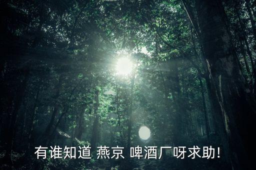 有誰(shuí)知道 燕京 啤酒廠呀求助!