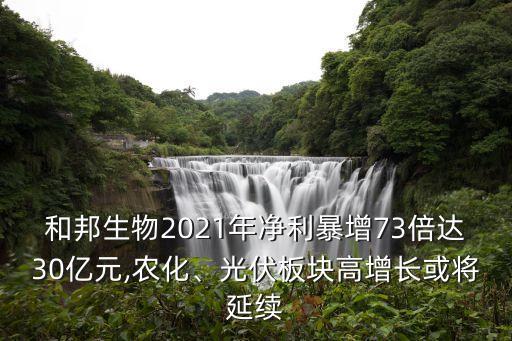 和邦生物2021年凈利暴增73倍達30億元,農(nóng)化、光伏板塊高增長或?qū)⒀永m(xù)