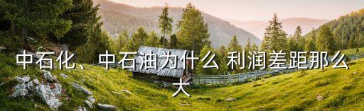 中石化、中石油為什么 利潤差距那么大