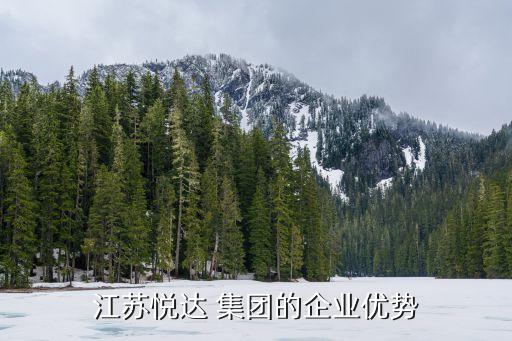 江蘇悅達(dá) 集團的企業(yè)優(yōu)勢