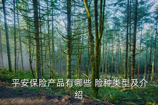  平安保險產品有哪些 險種類型及介紹
