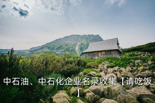 中石油、中石化企業(yè)名錄收集【請(qǐng)吃飯】