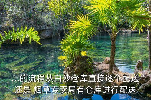 ...的流程從白沙倉(cāng)庫(kù)直接逐個(gè)配送還是 煙草專賣(mài)局有倉(cāng)庫(kù)進(jìn)行配送