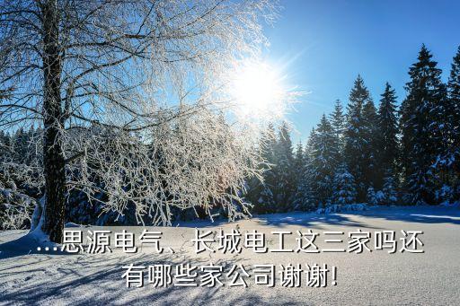 ...思源電氣、長(zhǎng)城電工這三家嗎還有哪些家公司謝謝!
