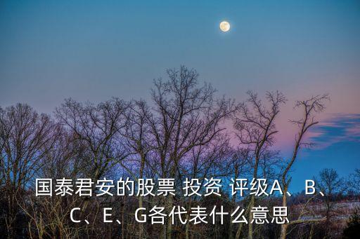 國(guó)泰君安的股票 投資 評(píng)級(jí)A、B、C、E、G各代表什么意思