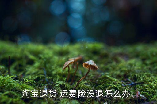 淘寶退貨 運(yùn)費(fèi)險(xiǎn)沒退怎么辦、