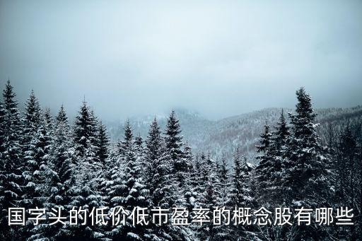 史玉柱買(mǎi)什么股票