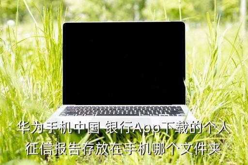 華為手機(jī)中國 銀行App下載的個人征信報告存放在手機(jī)哪個文件夾