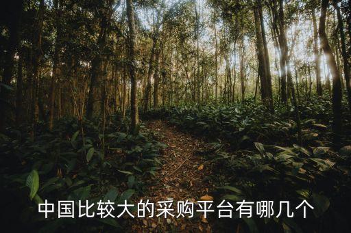 愛(ài)多買(mǎi)電子商務(wù)有限公司,四川文軒在線(xiàn)電子商務(wù)有限公司