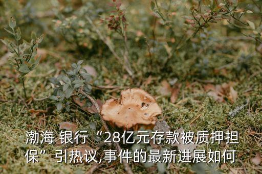  渤海 銀行“28億元存款被質(zhì)押擔(dān)?！币裏嶙h,事件的最新進(jìn)展如何