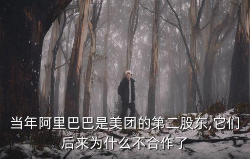 中國互聯(lián)網第四極