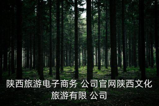 陜西旅游電子商務 公司官網陜西文化旅游有限 公司