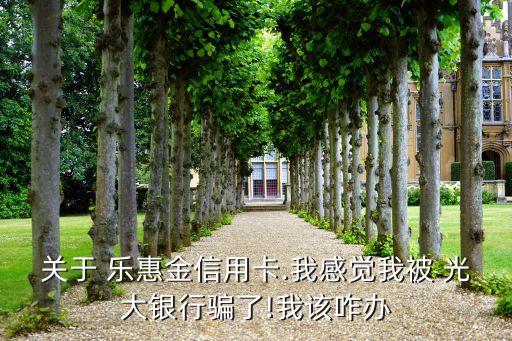 關于 樂惠金信用卡.我感覺我被 光大銀行騙了!我該咋辦