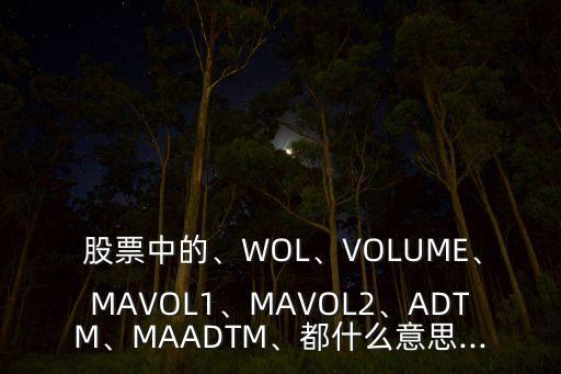  股票中的、WOL、VOLUME、MAVOL1、MAVOL2、ADTM、MAADTM、都什么意思...