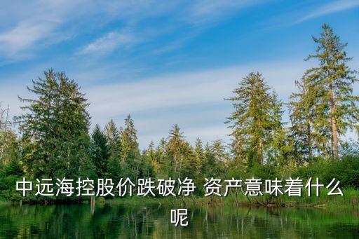 中遠?？毓蓛r跌破凈 資產(chǎn)意味著什么呢