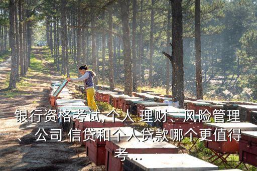 銀行資格考試,個人 理財、風險管理、 公司 信貸和個人貸款哪個更值得考...