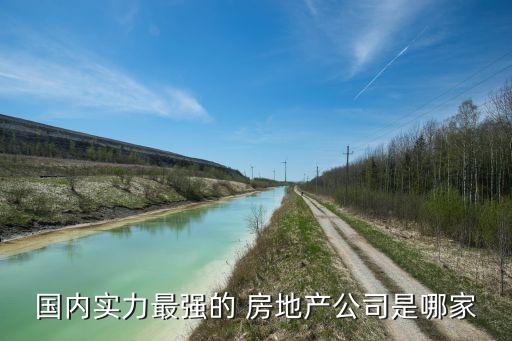國內實力最強的 房地產(chǎn)公司是哪家