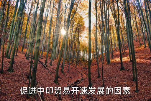 促進(jìn)中印貿(mào)易開(kāi)速發(fā)展的因素