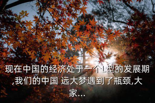 現(xiàn)在中國的經(jīng)濟(jì)處于一個(gè)L型的發(fā)展期,我們的中國 遠(yuǎn)大夢(mèng)遇到了瓶頸,大家...