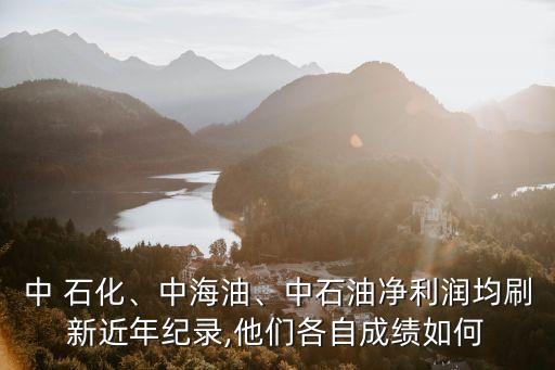 中 石化、中海油、中石油凈利潤均刷新近年紀錄,他們各自成績?nèi)绾? class=