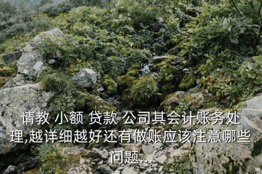 請教 小額 貸款 公司其會計賬務(wù)處理,越詳細越好還有做賬應(yīng)該注意哪些問題...