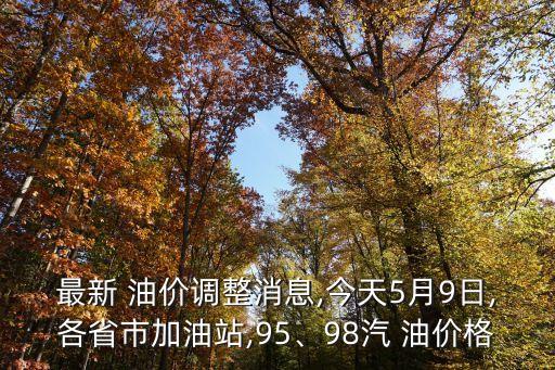 最新 油價調(diào)整消息,今天5月9日,各省市加油站,95、98汽 油價格