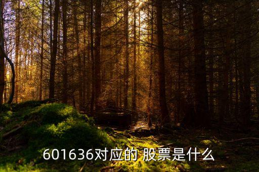 601636對應的 股票是什么