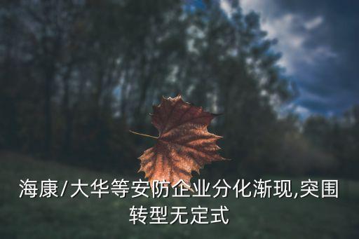 ?？?大華等安防企業(yè)分化漸現(xiàn),突圍轉(zhuǎn)型無定式