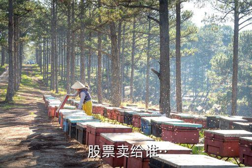  股票賣(mài)給誰(shuí)··