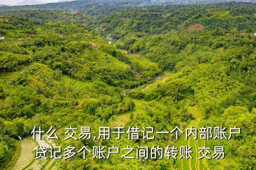 、什么 交易,用于借記一個(gè)內(nèi)部賬戶 貸記多個(gè)賬戶之間的轉(zhuǎn)賬 交易