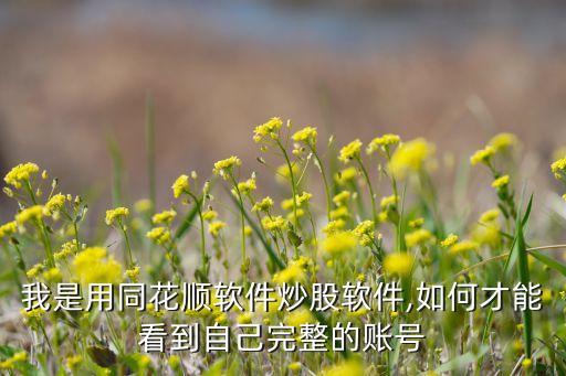 我是用同花順軟件炒股軟件,如何才能看到自己完整的賬號(hào)